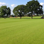 Turf in Cheadle