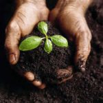 The Right Soil in Cheshire Helps Your Garden Bloom