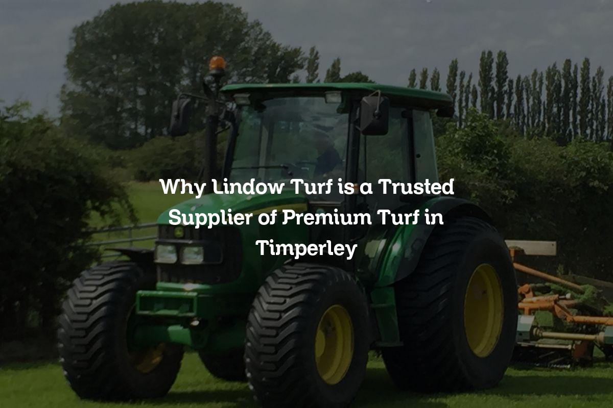 premium turf in Timperley