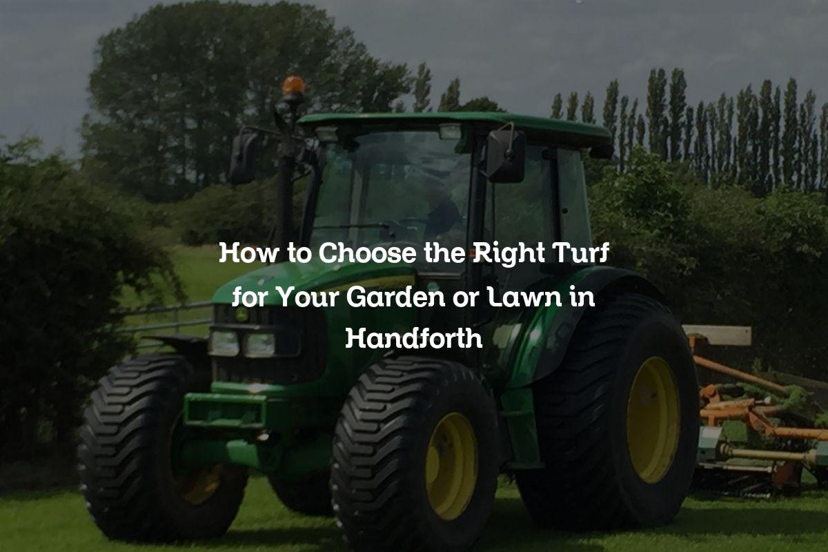 How to Choose the Right Turf for Your Garden or Lawn in Handforth
