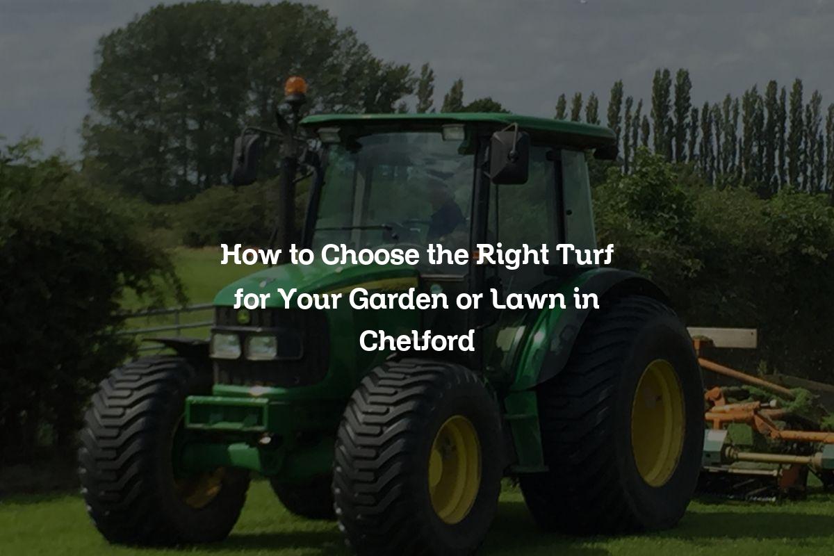 How to Choose the Right Turf for Your Garden or Lawn in Chelford