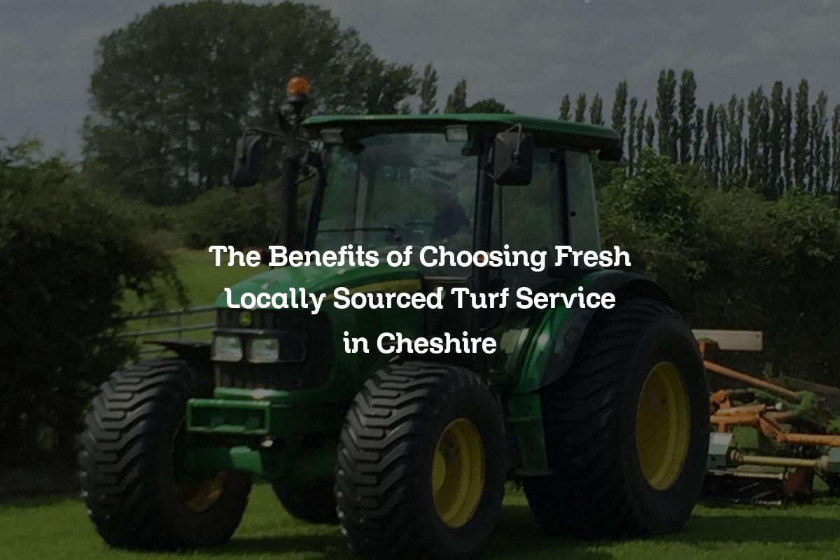 turf service in Cheshire