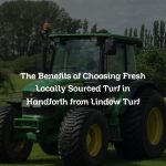 The Benefits of Choosing Fresh Locally Sourced Turf in Handforth from Lindow Turf
