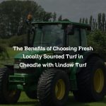 The Benefits of Choosing Fresh Locally Sourced Turf in Cheadle with Lindow Turf