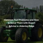 Common Turf Problems and How to Solve Them with Expert Advice in Alderley Edge