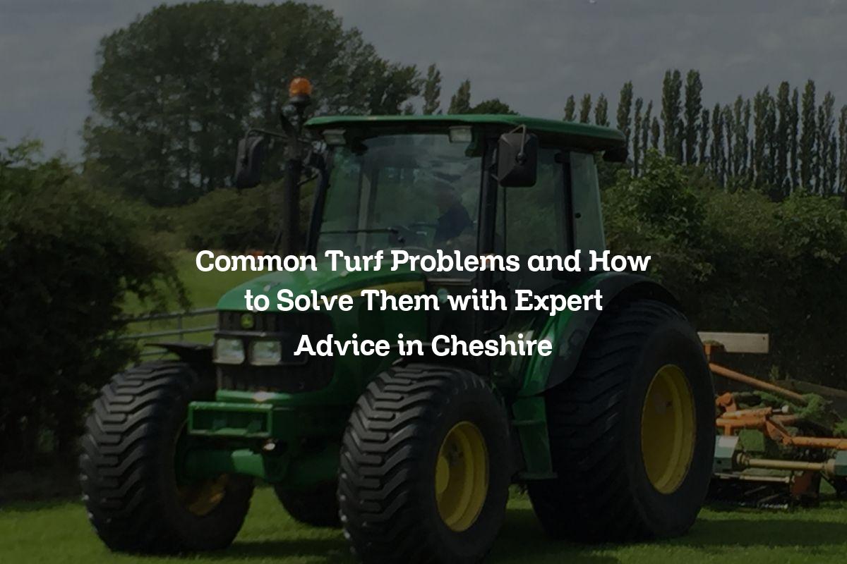 Common Turf Problems and How to Solve Them with Expert Advice in Cheshire