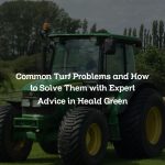 Common Turf Problems and How to Solve Them with Expert Advice in Heald Green